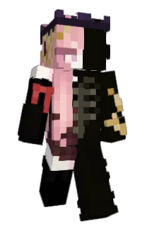 Front of ignDialis's skin