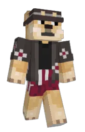 Skin preview