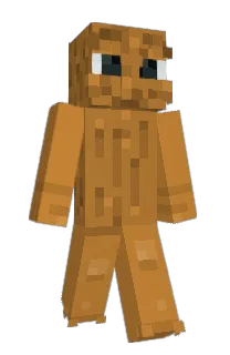 Front of hwookim's skin