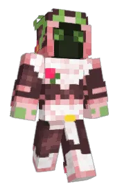 Skin preview