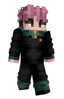 Front of Franviss's skin