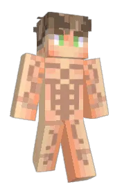 Skin preview