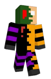 Skin preview