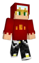 Minecraft skin — Classic model