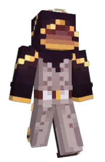 Front of 3DARIS's skin