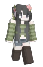 Skin preview