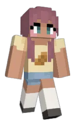 Classic Minecraft skin