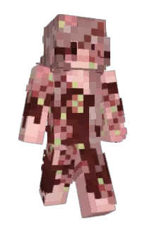 Front of Roselace's skin