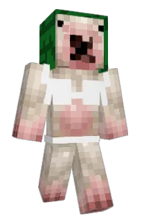 Front of Viguilas's skin