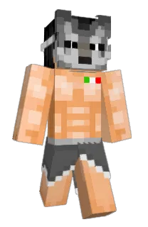 Front of Minecraft skin