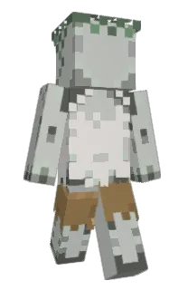 Front of bblankss's skin