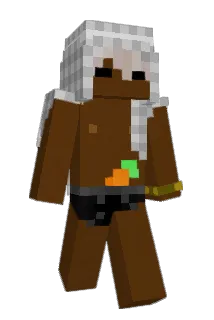 77565 Minecraft avatar full body