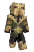 blitzwinger
