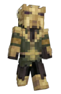 Front of Minecraft skin