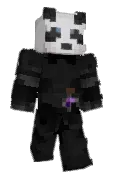 sesliwn