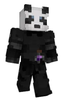 Front of sesliwn's skin