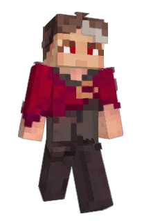 Front of FLexeLon's skin