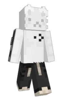 Front of Perplexities's skin
