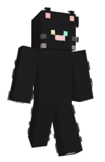 Front of zuudy's skin