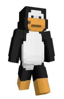 Front of arieti34's skin