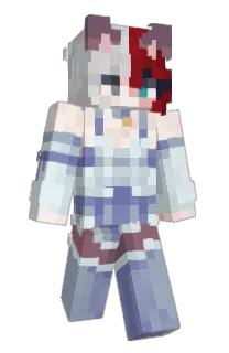 Front of BlizGame's skin