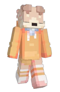 Front of Snoozypher's skin