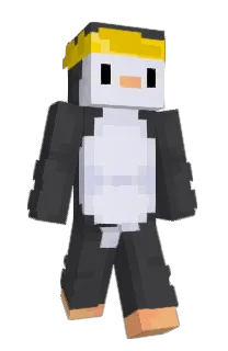 Front of pexonaut's skin