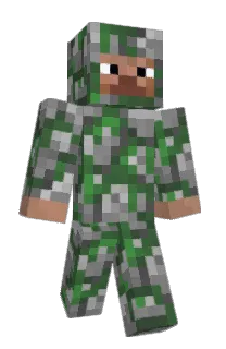 Front of supertreepig's skin