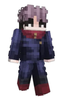 Front of whysk's skin