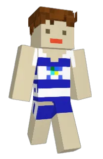Front of widtee's skin