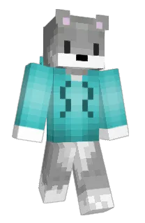Front of puppo's skin