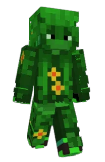 Front of SteelCut's skin