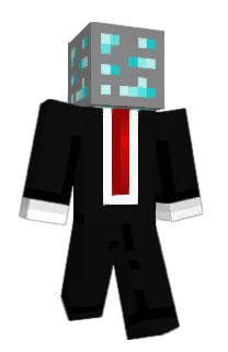 Front of TerryBallGame's skin