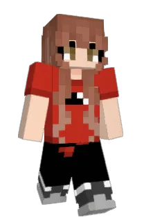 Front of Minecraft skin