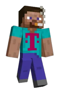 7803 Minecraft avatar full body
