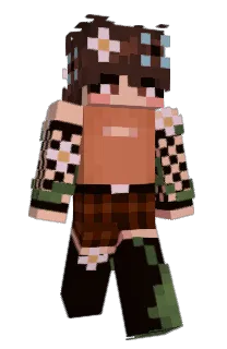 Front of C3ASHIE's skin