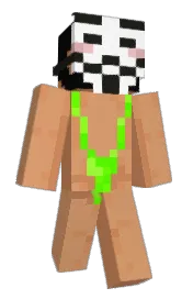 Skin preview