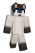 ShiftCraft