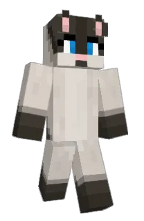 ShiftCraft's Minecraft skin