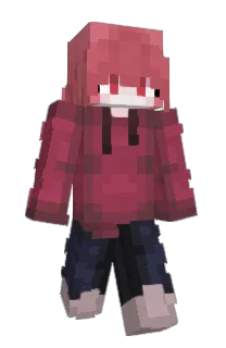 Shou49's Minecraft skin