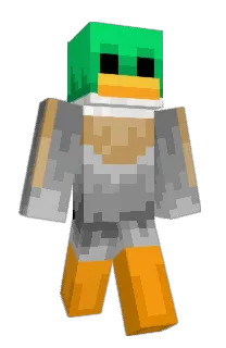 Front of TheDuckLC's skin