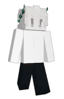 Front of Coolour's skin