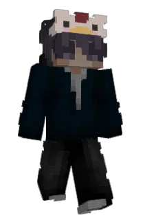 Front of Akorz's skin