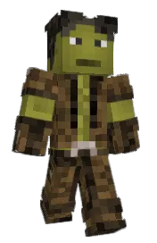 Skin preview