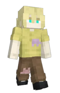 Front of willta's skin
