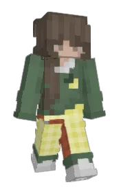 Skin preview