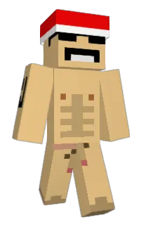Front of Vidorg's skin
