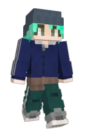 Skin preview
