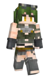 Skin preview