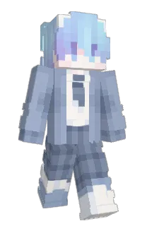 Front of visary's skin